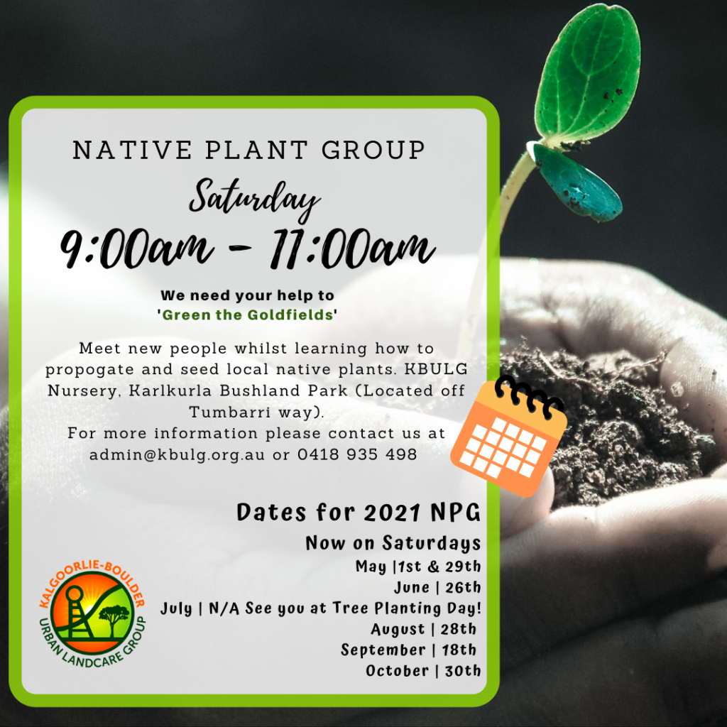 Native Plant Group (1)